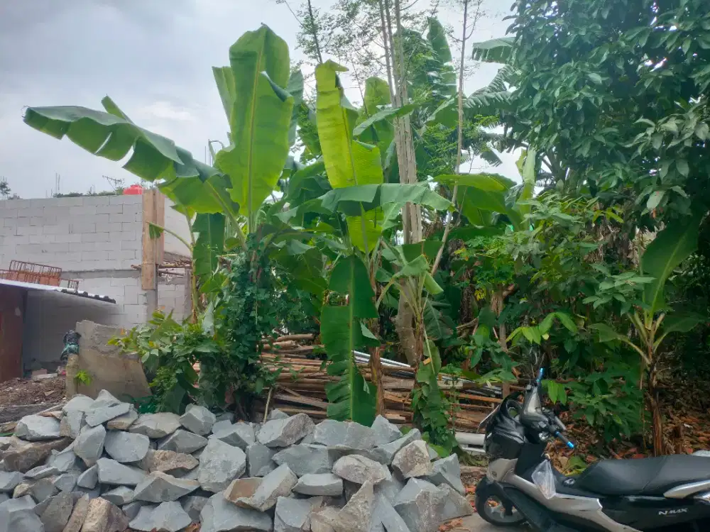 Di jual tanah kavling