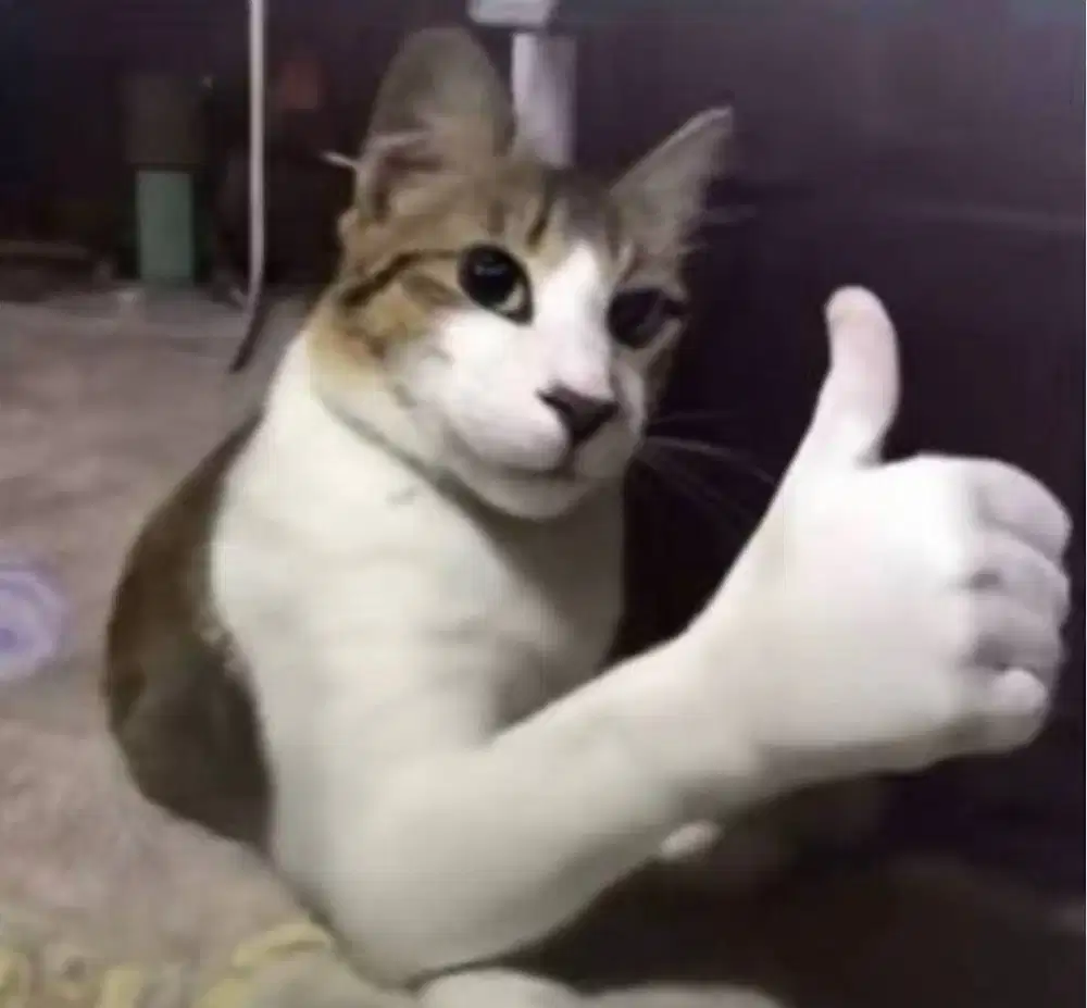 Selamat pagi/siang/sore/malam Bapak/ibu kebetulan saya butuh loker