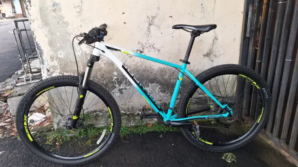 Polygon Xtrada 5 Limited Edition