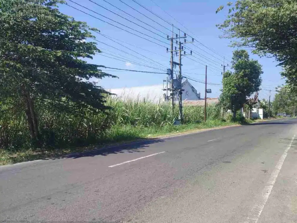 Dijual tanah di Bataan Bondowoso