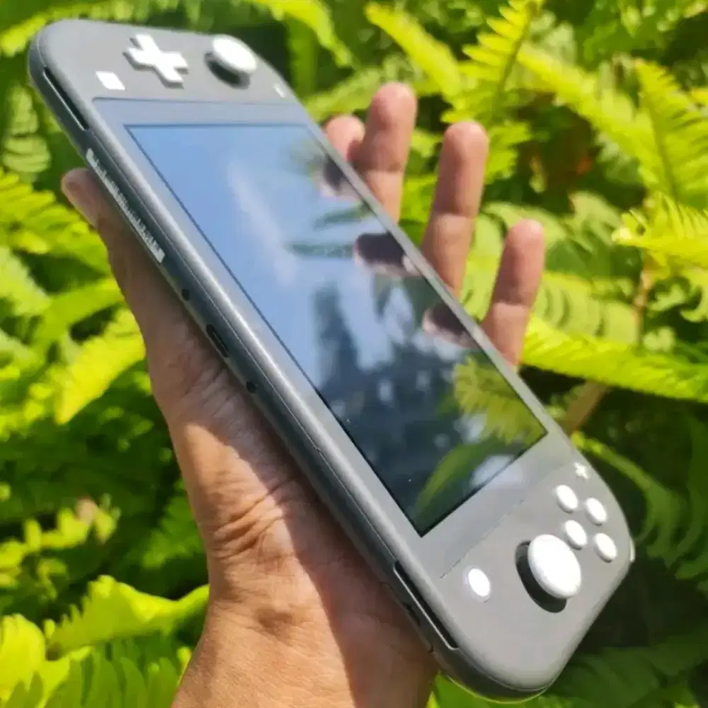Nintendo switch game