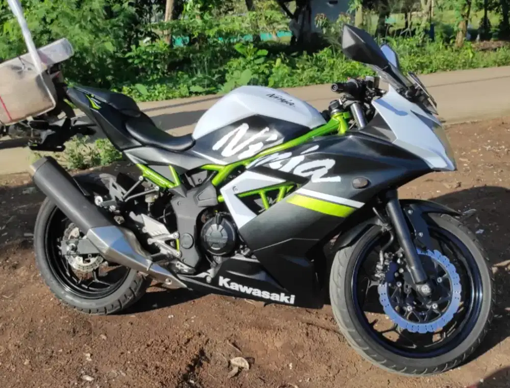 Kawasaki Ninja 250 SL Mono