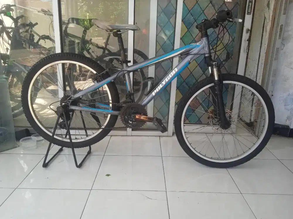 Sepeda gunung MTB alloy polygon relic