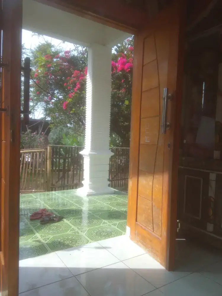Jasa pengecatan rumah bagus dan rapih