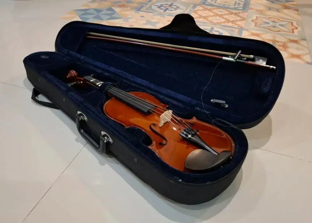 Biola Hofner AS-045