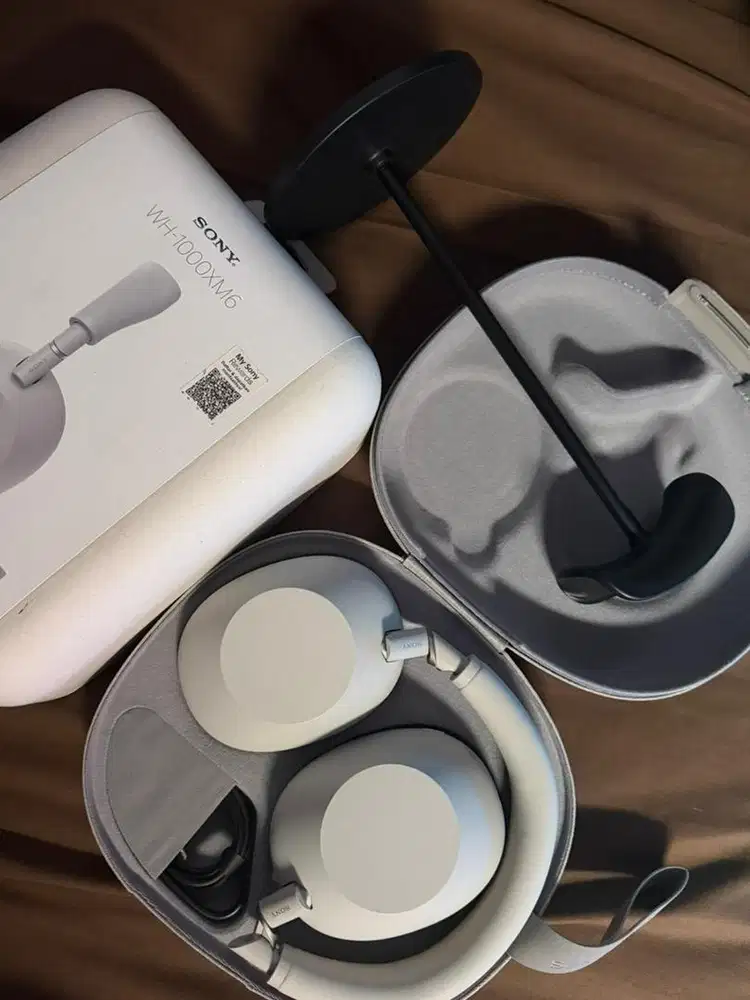 Sony WH-1000XM6 Platinum Silver
