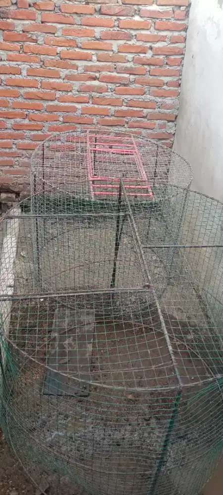 Jual dua songkok ayam ukuran jmbo