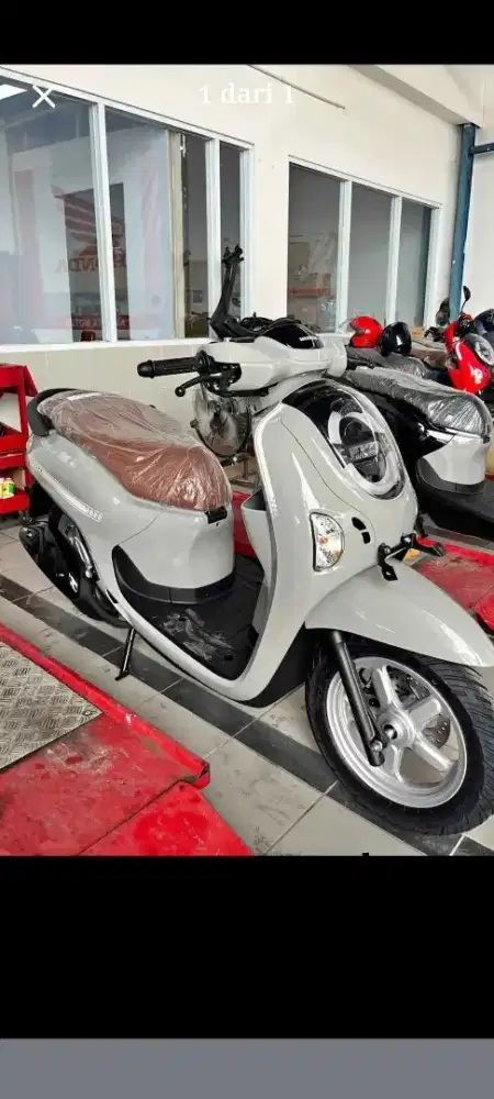 HONDA SCOOPY STYLISH