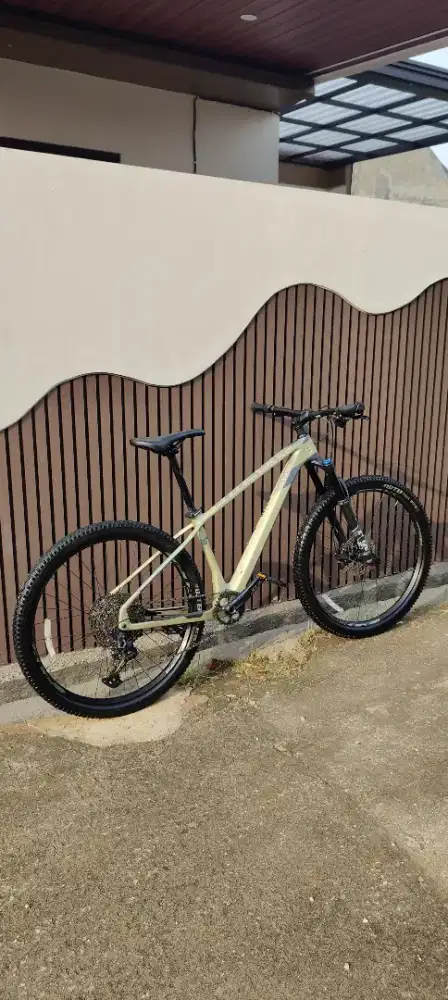POLYGON SYNCLINE C5 CARBON