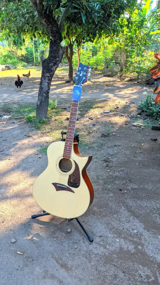 Gitar Akustik Cort Ndx High Quality Baru