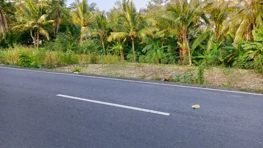 dijual murah SHM pekarangan murah lokasi strtegis