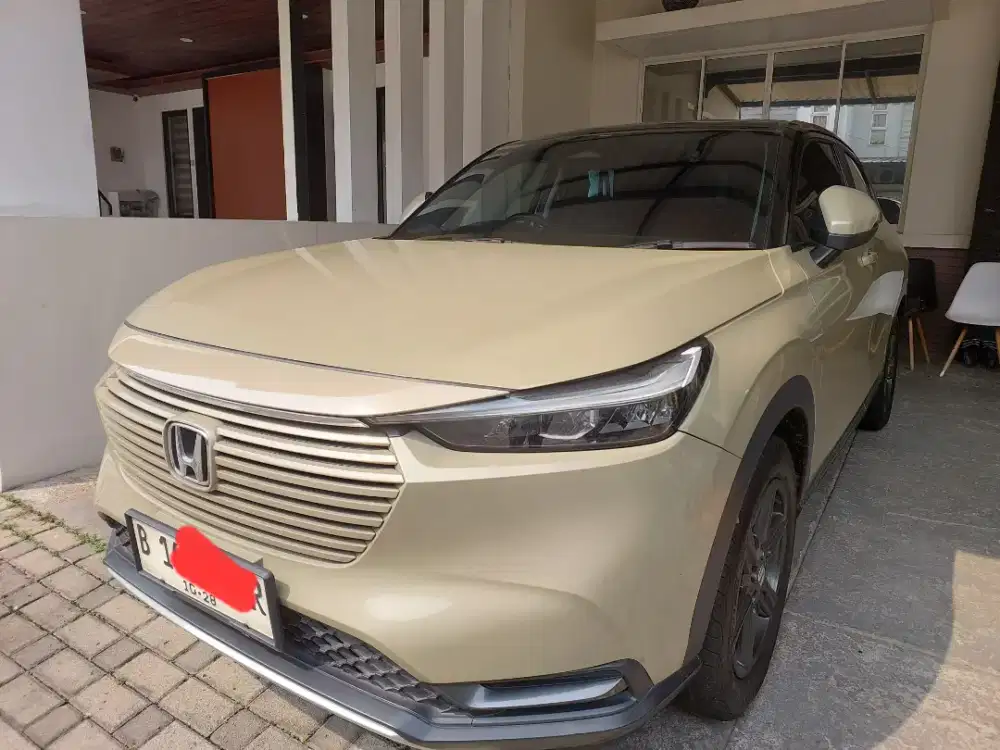 HRV E SENSING UNIT BAGUS