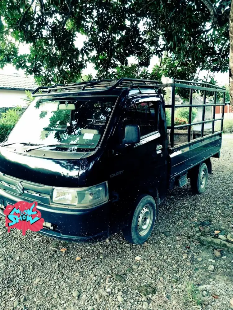 Jasa Angkutan Pick'up Carry