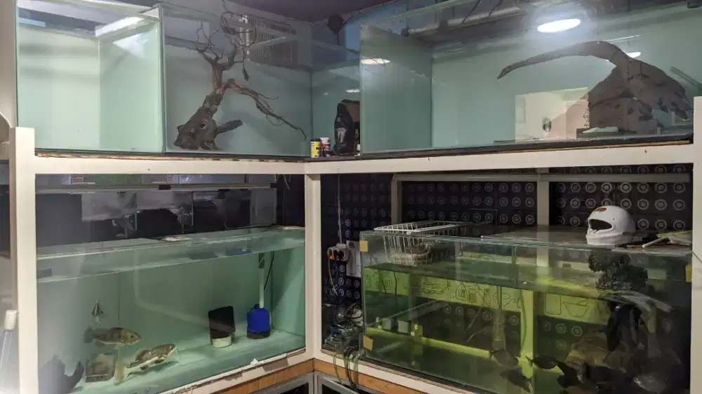 Aquarium/ Akuarium Paket