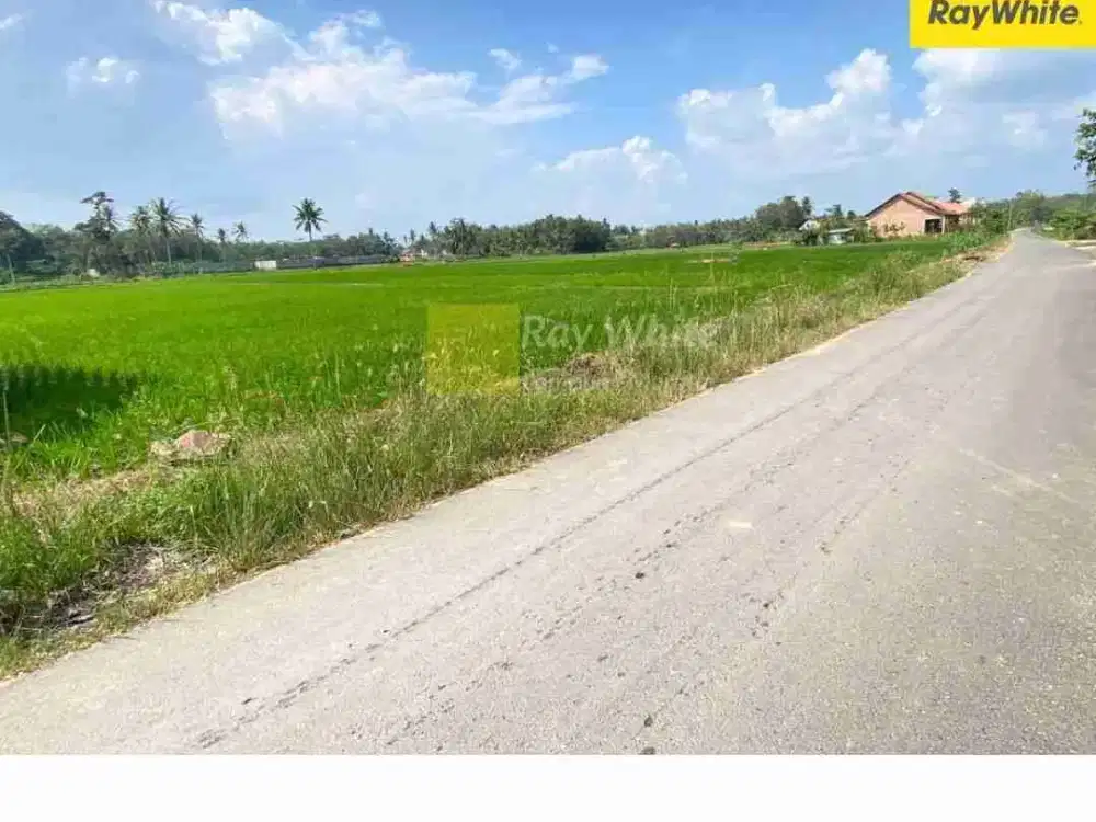 tanah 2214 m² way Galih lamsel