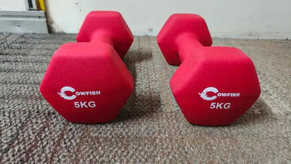 Dijual Dumbell Hexagonal 5 Kilo 2 Buah Jarang Pakai