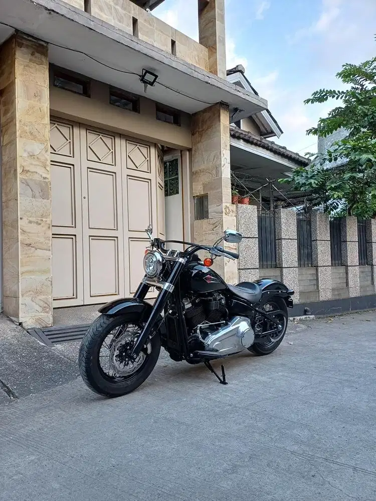 Softail slim 2019,fatboy,roadking,sportster