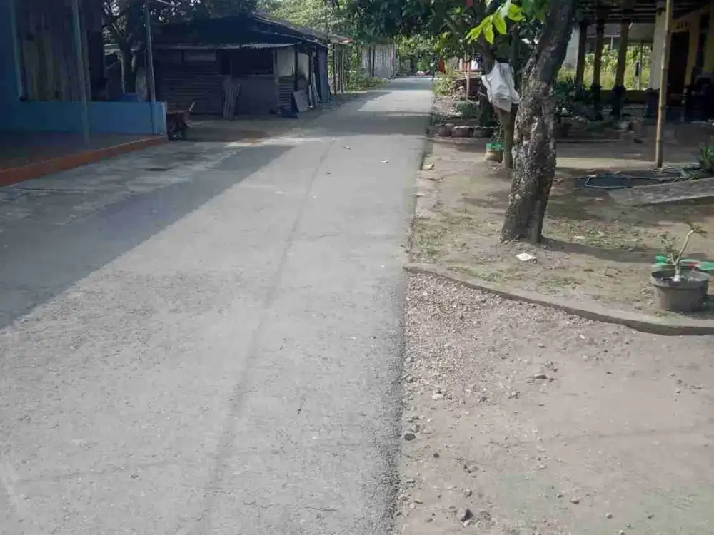 Di Jual Tanah Pekarangan 159m Dapat 2 Jln Timur Perum Pertamina Purwomartani