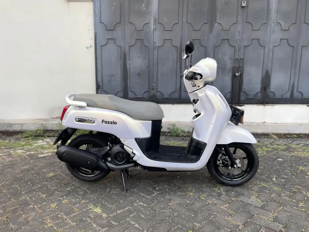 Fazzio Lux 2025 Pajak Panjang