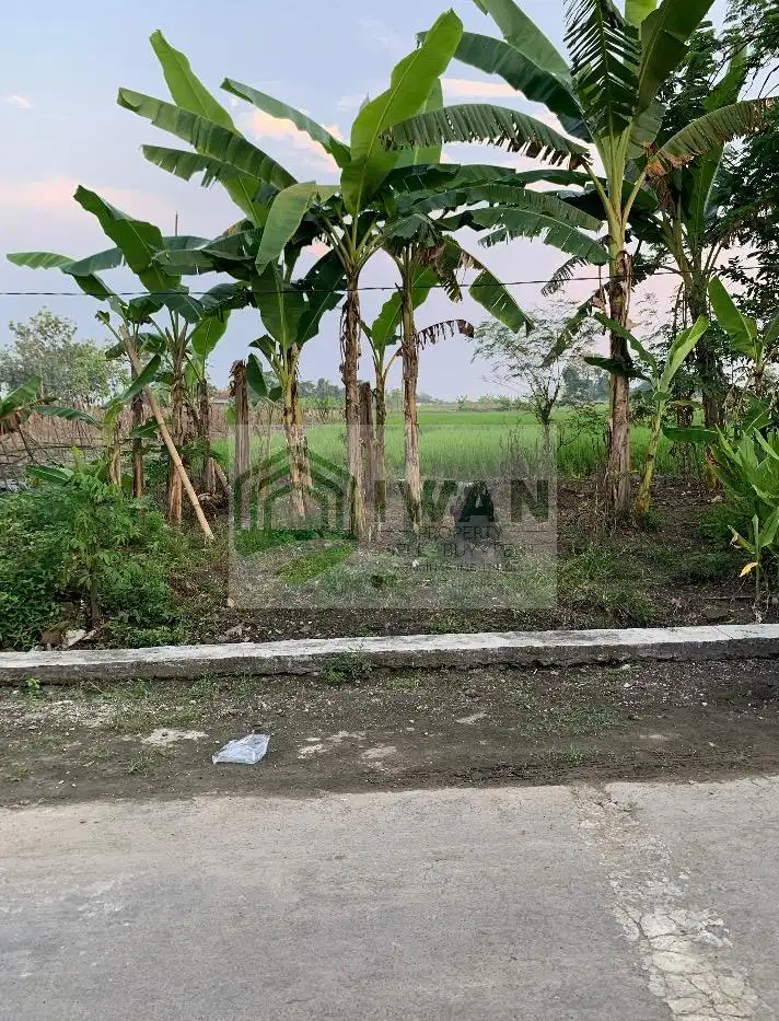 Tanah Luas & Murah Hadap Jalan Lebar Dekat Dengan Jalan Kabupaten