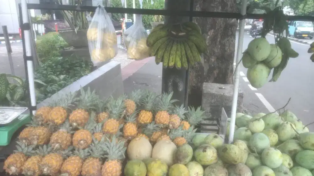 Nanas madu pemalang
