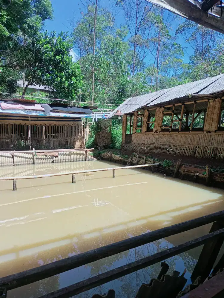 JUAL LAHAN UDAH ADA KOLAM IKAN DAN KANDANG DOMBA BUAT TERNAK