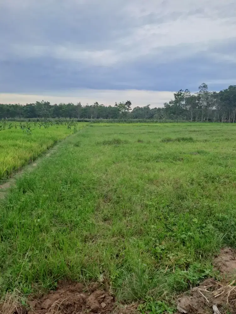 Tanah darat u/ rumah tinggal dijual