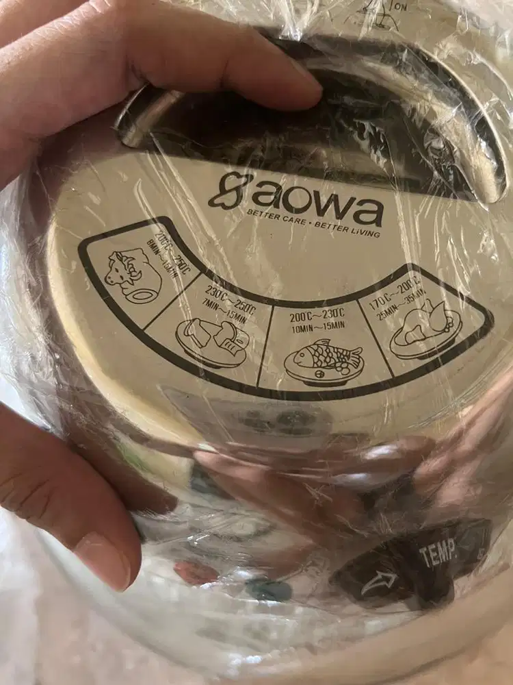 Convection Oven oriental magic wok