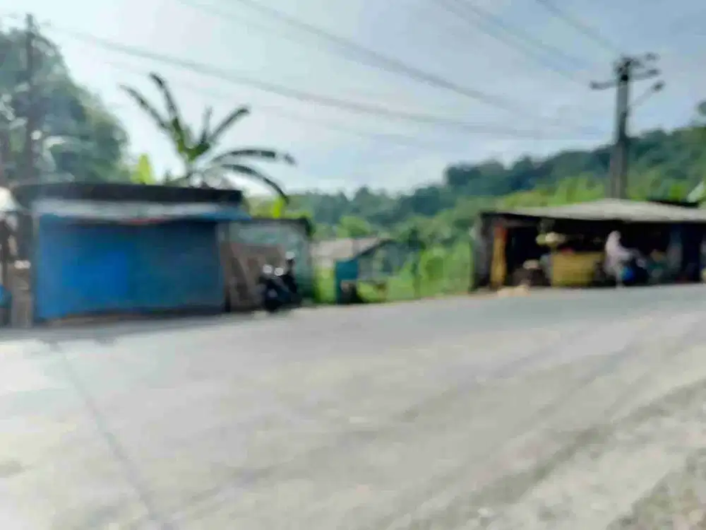 dijual cepat tanah kosong strategis jalan raya ciseeng bogor