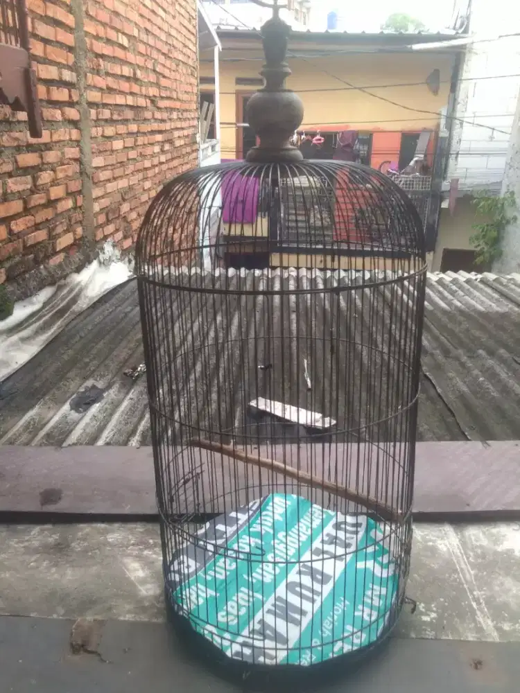 Jual borongan kandang+tas+lampu HOYT