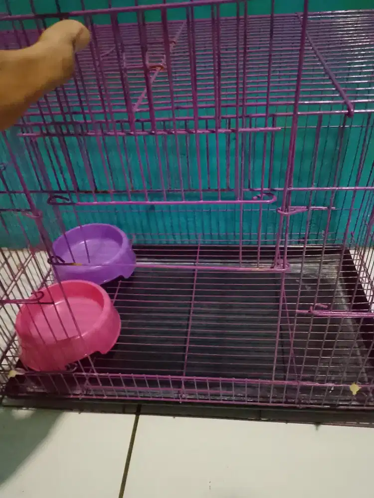 Kandang kucing lucky