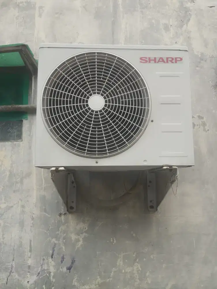 Ac Sharp 1/2 PK