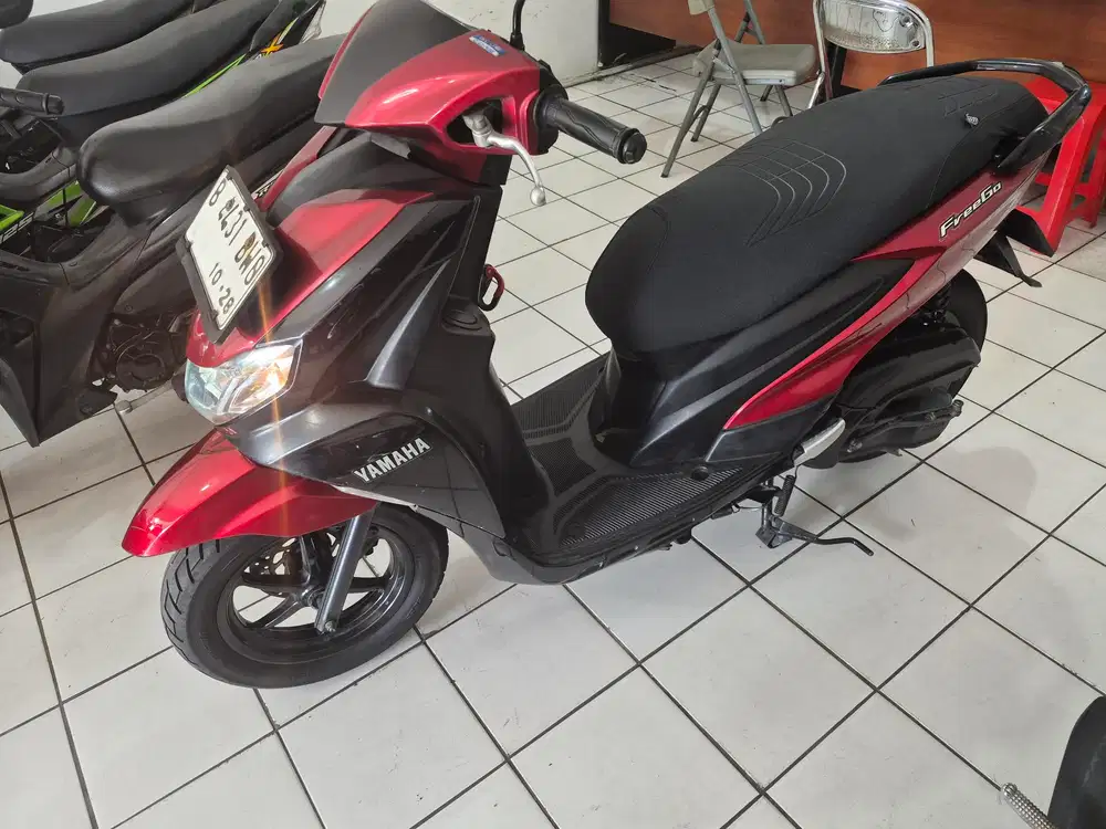 FREEGO 2019 OKe