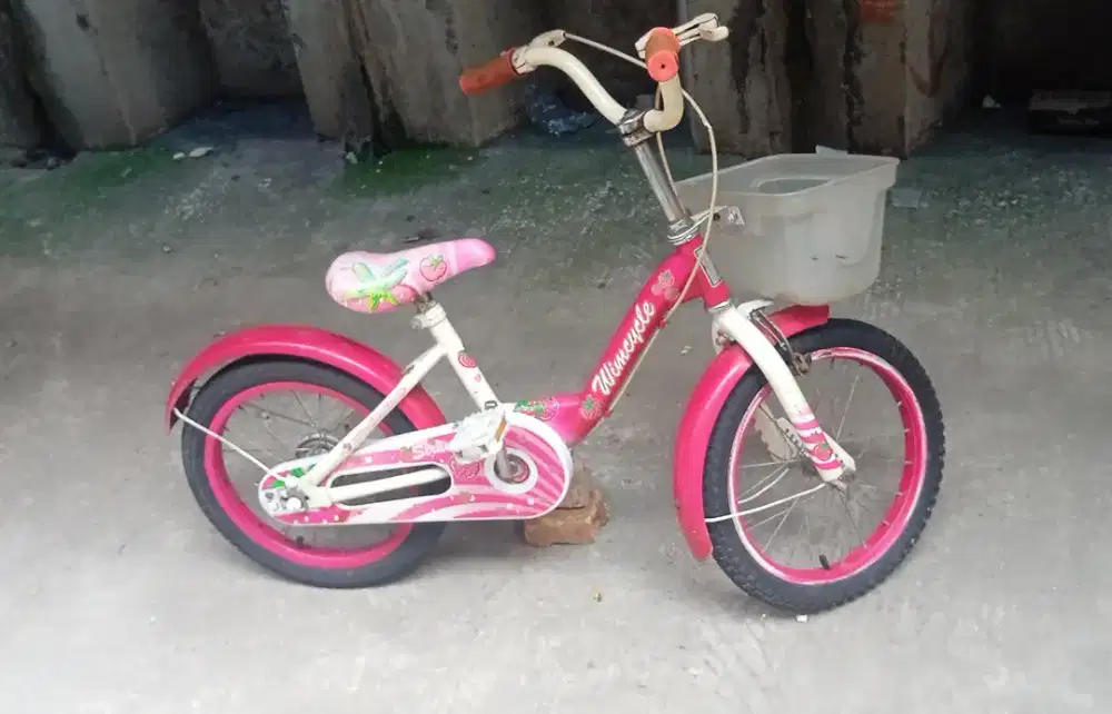 Sepeda Anak Bekas