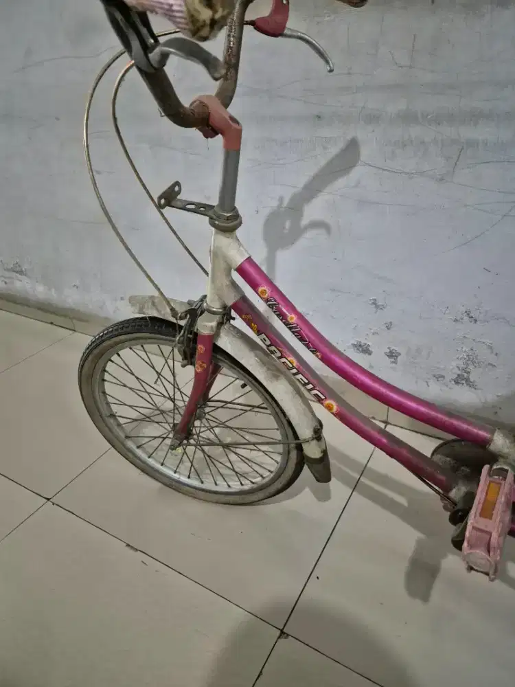 Dijual sepeda anak pasific