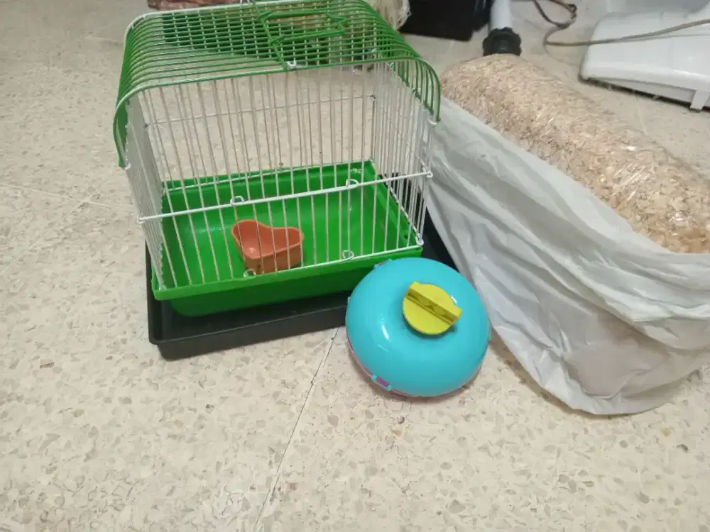 KANDANG HAMSTER FREE SERBUK KAYU