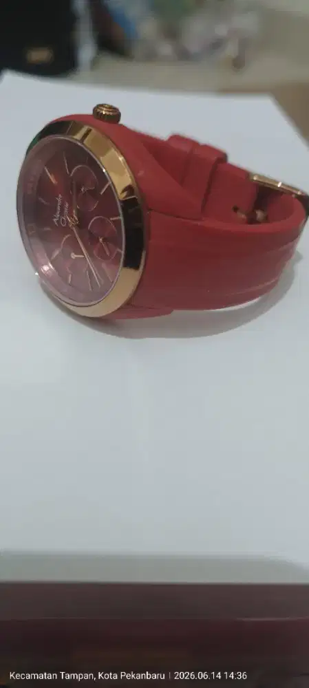 Jam tangan Alexandre Christie