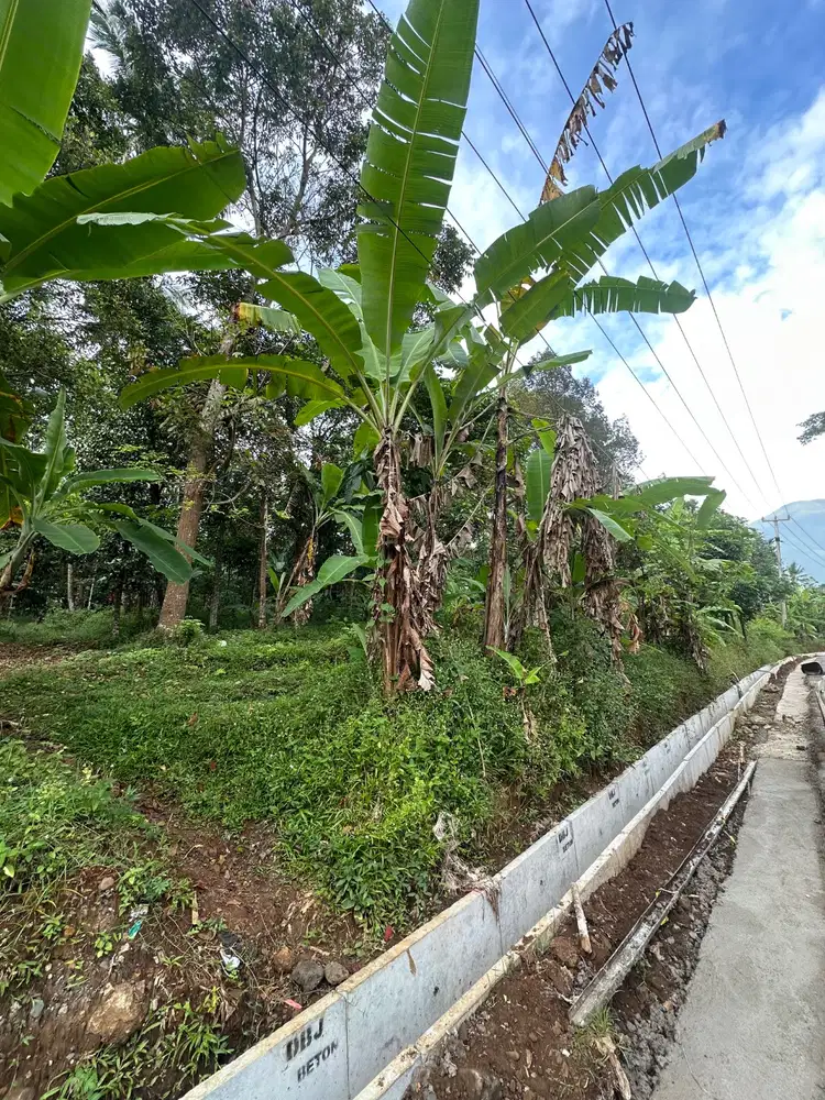 Jual Tanah tanpa perantara