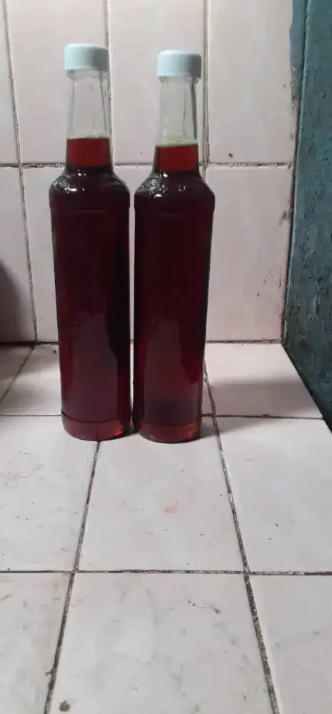 Grosir madu ternak