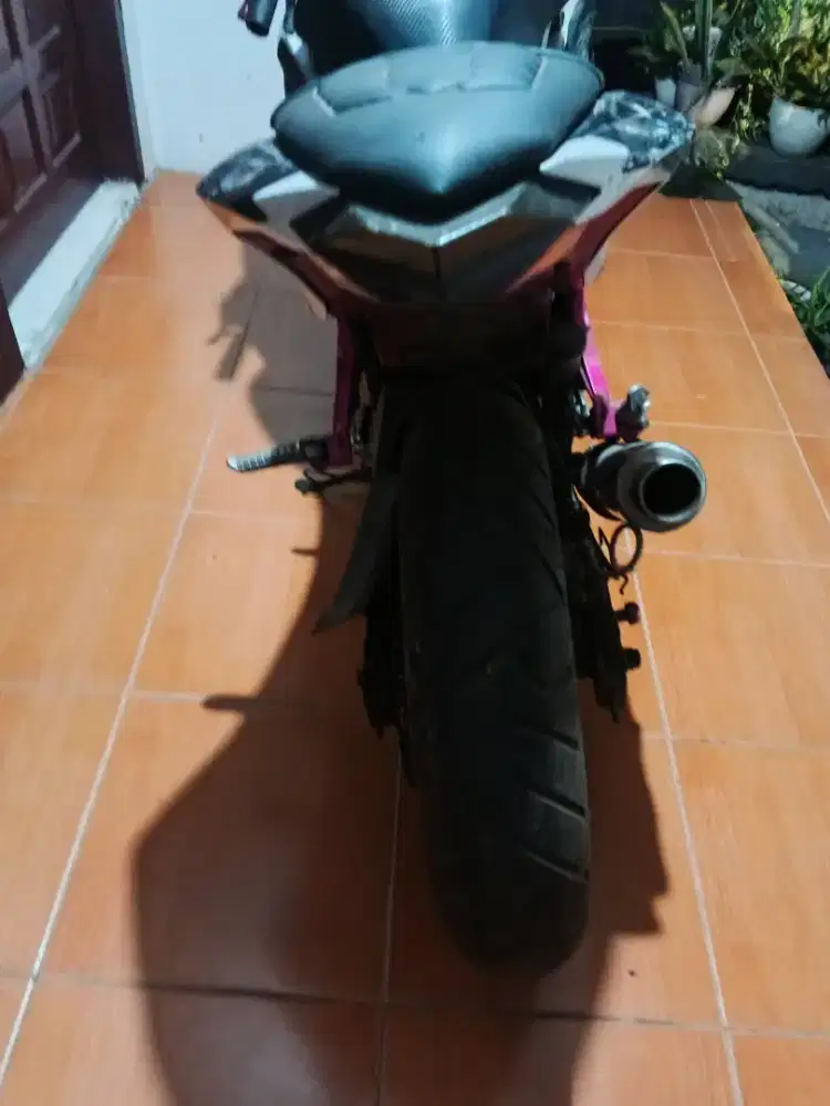 Kawasaki ninja 250