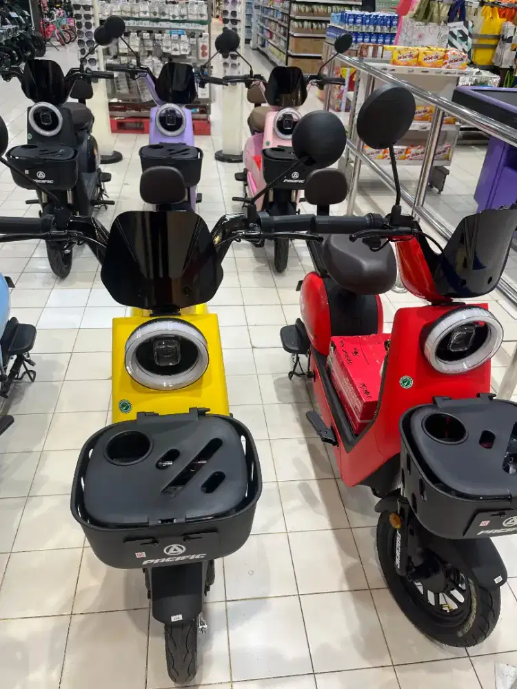 PACIFIC E-BIKE VENTURA M2