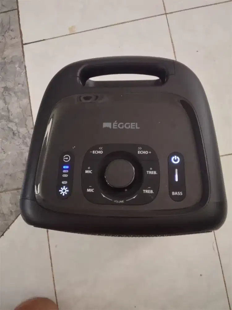 Speaker Eggel Fortis 2