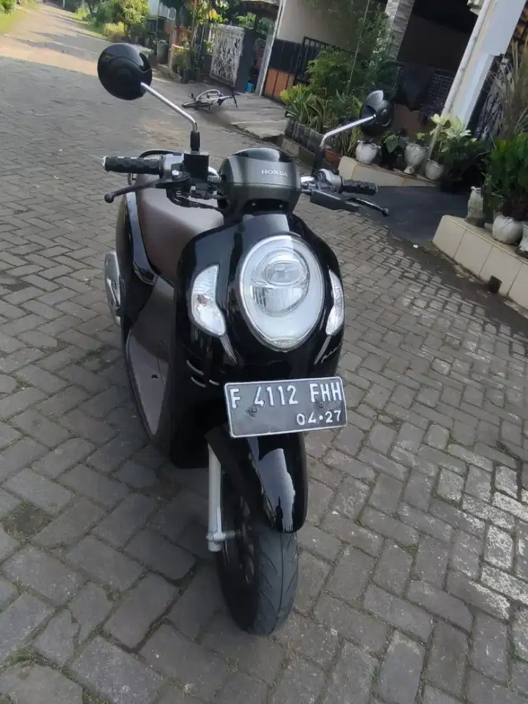 Scoopy pristige 2022 remot.
