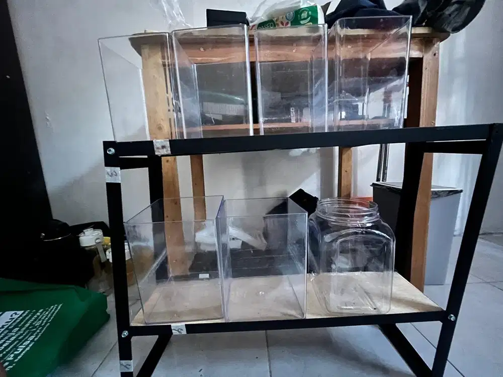 Rak Ikan Cupang