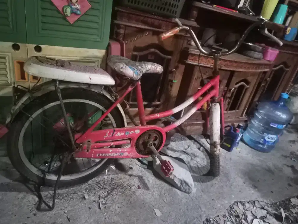 Sepeda anak minus sesuai gambar