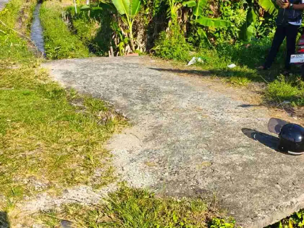Tanah Plot Kecil 1 Are Canggu Kuta Utara Badung Bali
