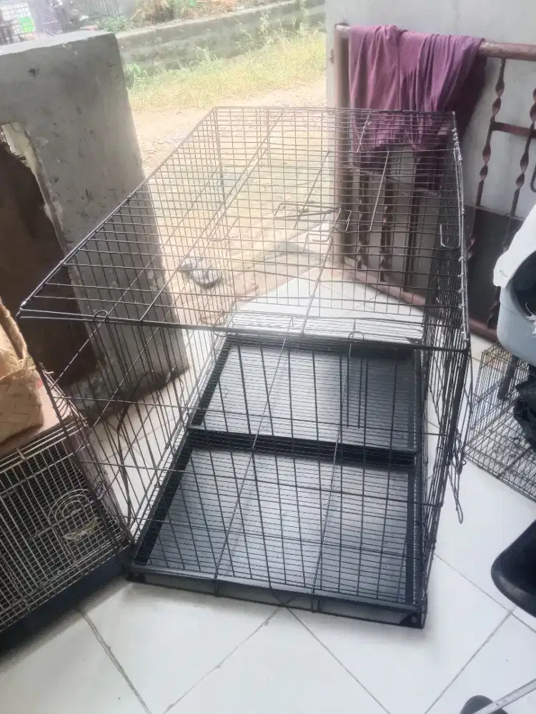 Kandang kucing jumbo besar