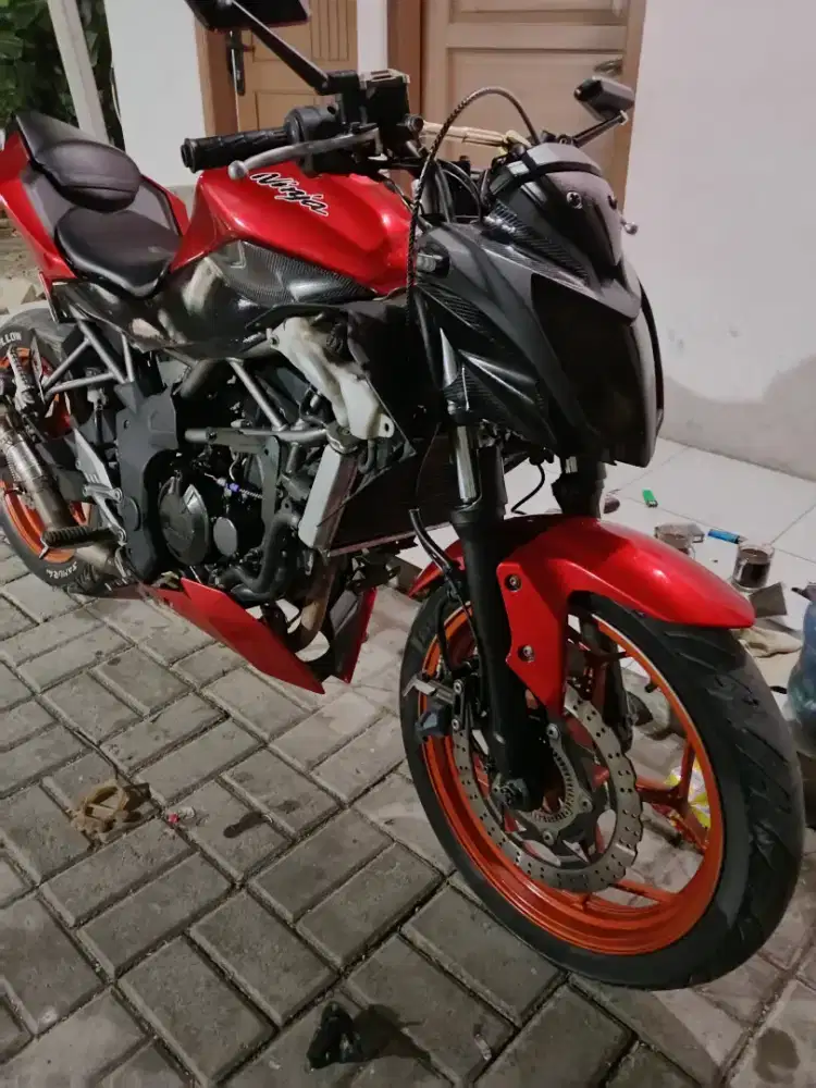 Kawasaki 250cc mono