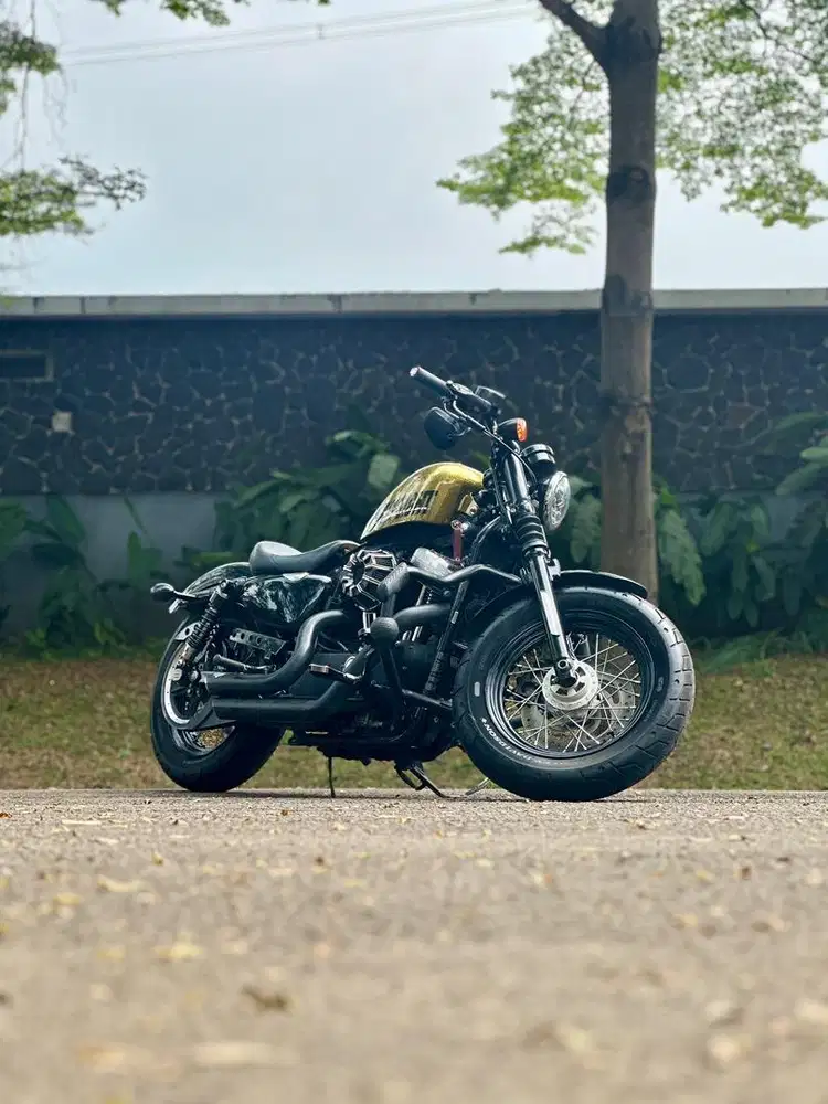 2015 Harley Davidson Sportster