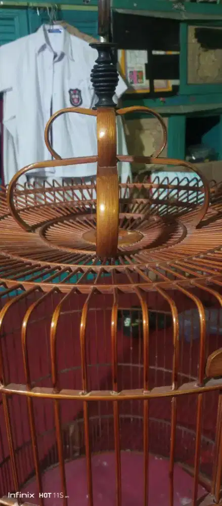 Kandang murai no 2 kokoh